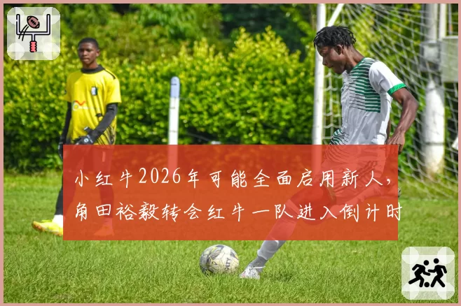 小红牛2026年可能全面启用新人,角田裕毅转会红牛一队进入倒计时