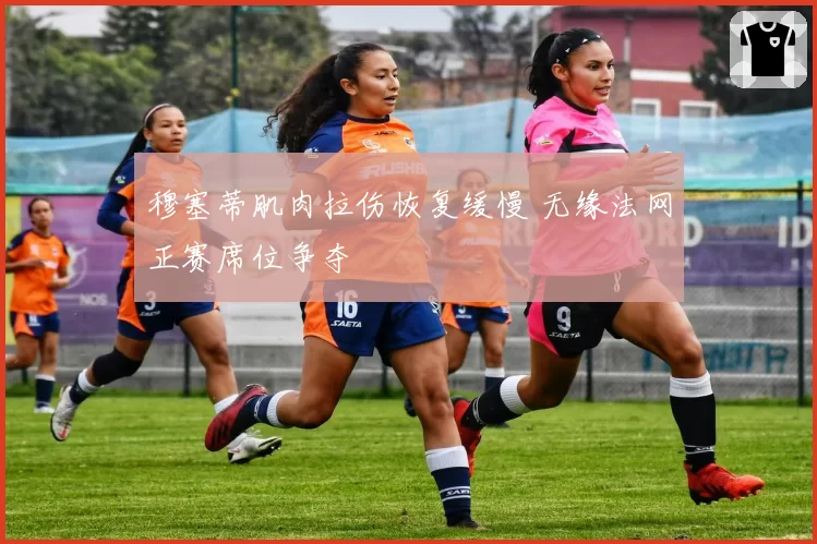 穆塞蒂肌肉拉伤恢复缓慢 无缘法网正赛席位争夺