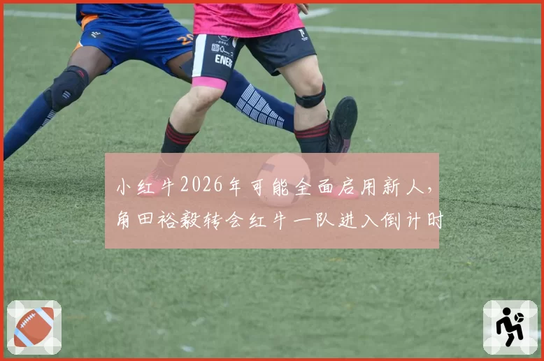 小红牛2026年可能全面启用新人,角田裕毅转会红牛一队进入倒计时