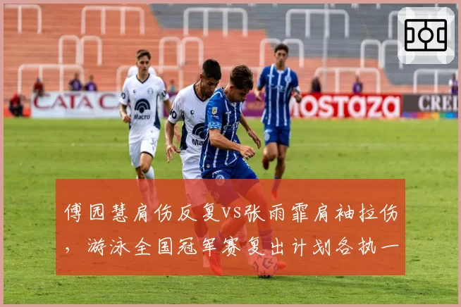傅园慧肩伤反复vs张雨霏肩袖拉伤，游泳全国冠军赛复出计划各执一词