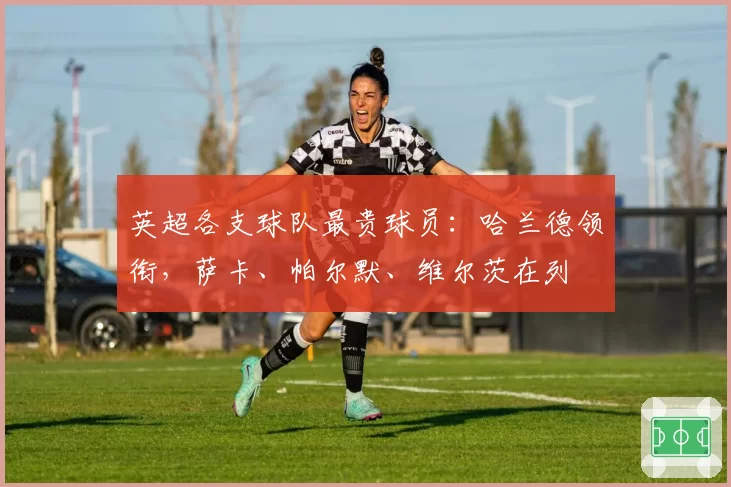 英超各支球队最贵球员：哈兰德领衔，萨卡、帕尔默、维尔茨在列