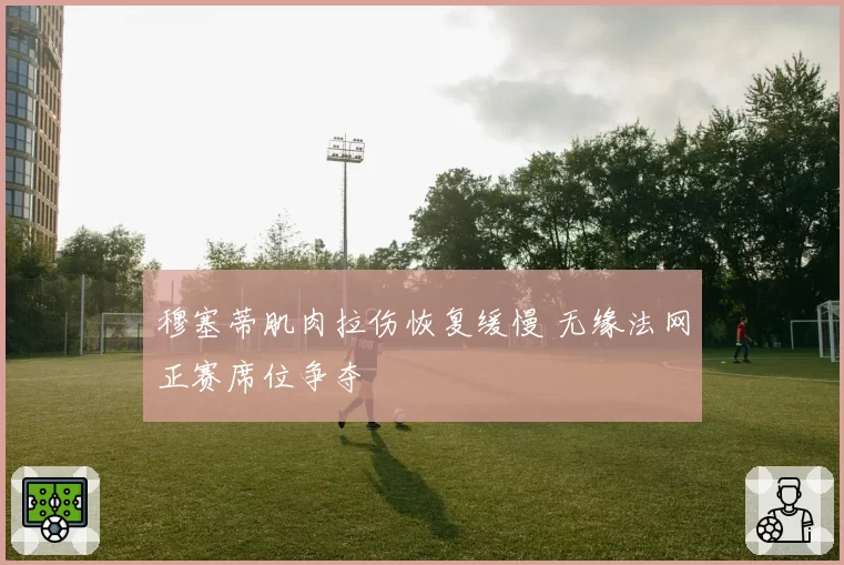 穆塞蒂肌肉拉伤恢复缓慢 无缘法网正赛席位争夺